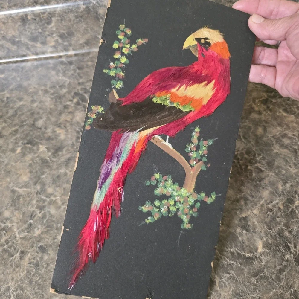 Vintage Mexican Feathercraft Bird Art Set 3 Real Feathers Folk Art Wall Decor